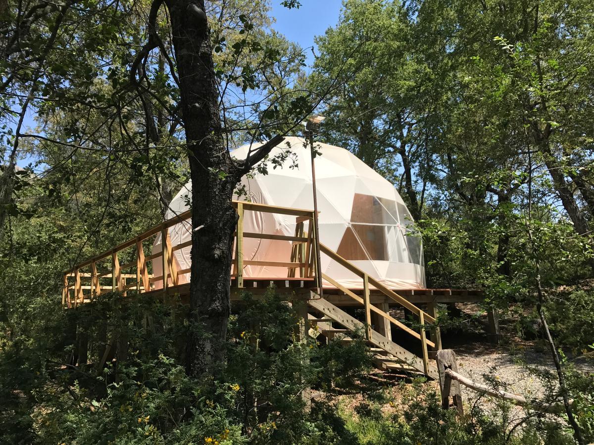 فندق لاس ترانكاسفي  Glamping Domos Treepod المظهر الخارجي الصورة